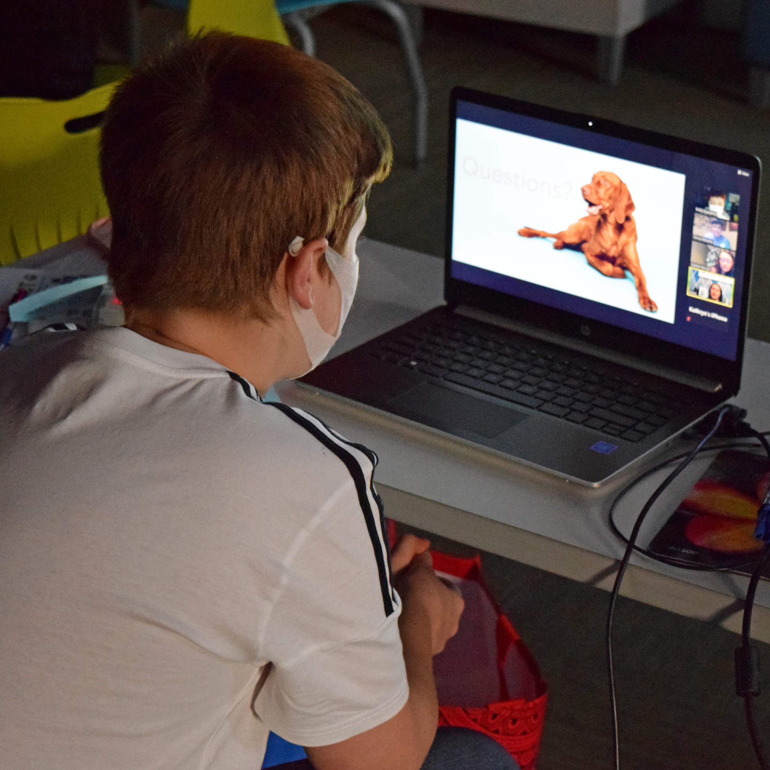Mars Petcare Partners with Boys & Girls Club